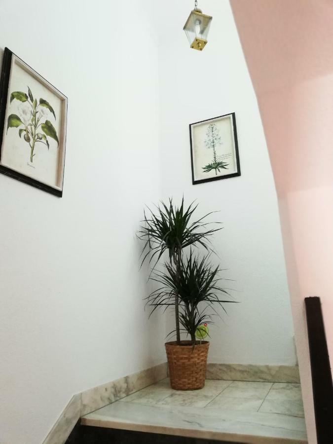 Arronches Villa Екстериор снимка